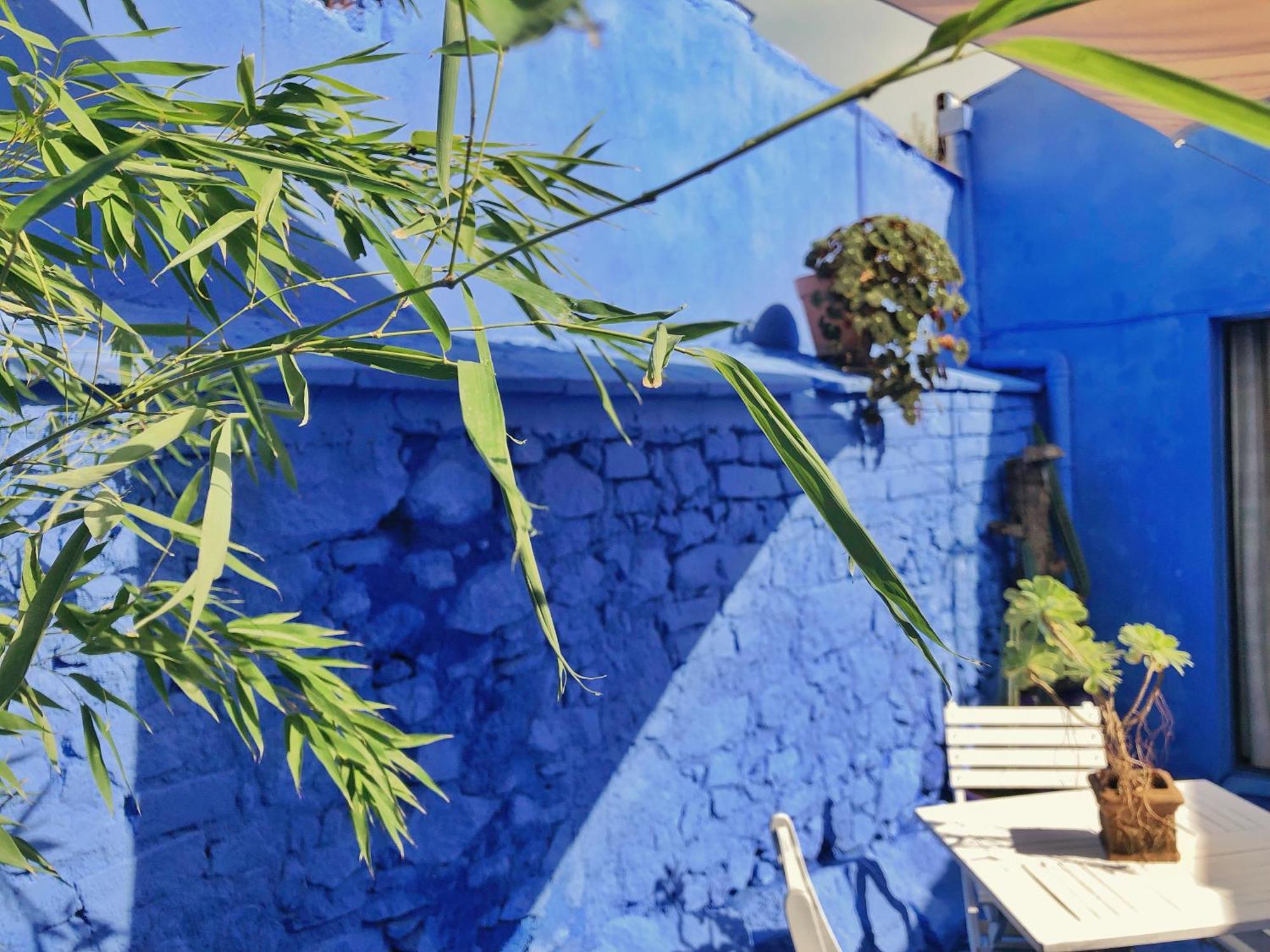 Отель Casa Rico Frade Garden Sao Pedro do Corval Номер фото